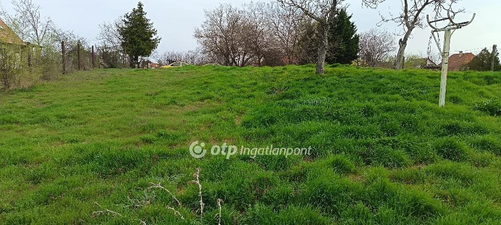 c3-1-name c2-50-name, Taksony