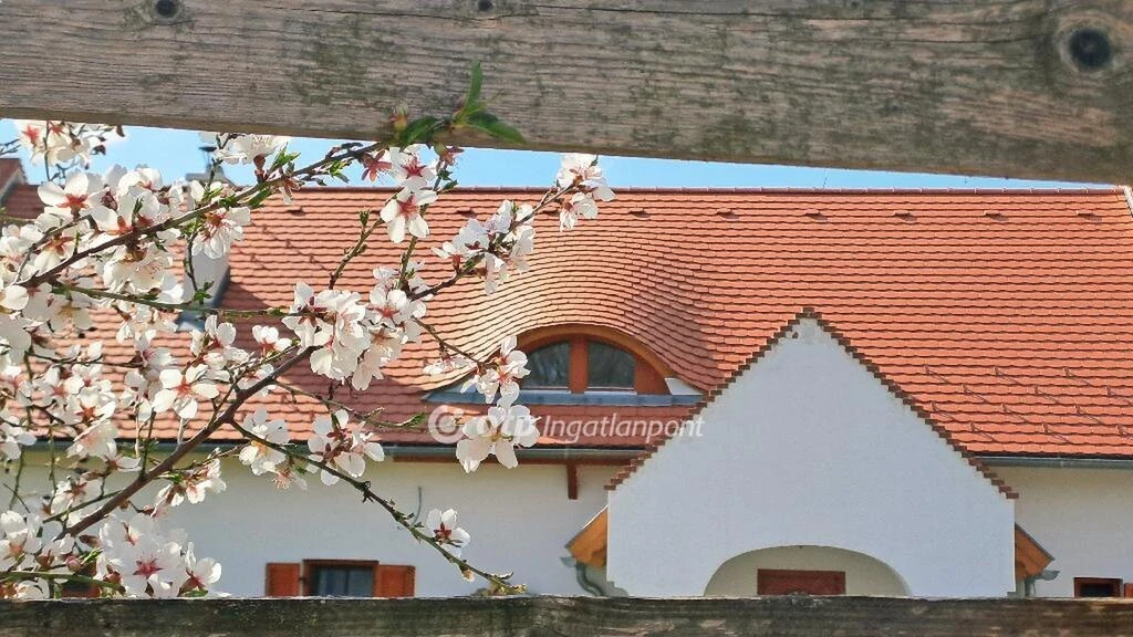 c3-1-name c2-62-name, Balatonalmádi