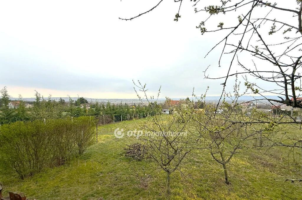 c3-1-name c2-53-name, Fót