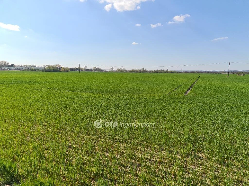 c3-1-name c2-57-name, Szigetszentmiklós