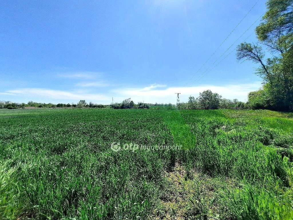 Eladó Telek, Kiskunfélegyháza