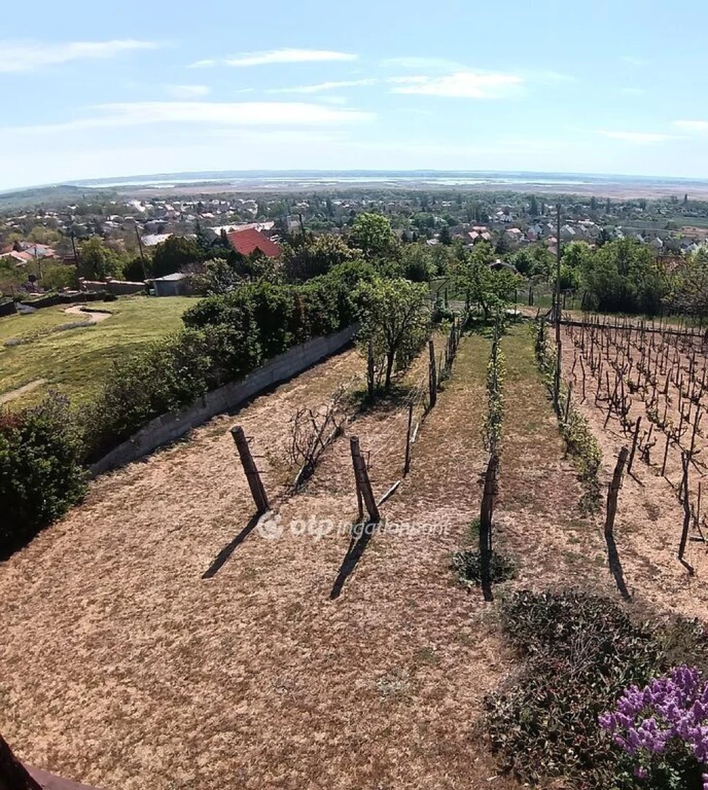 Eladó Telek, Pákozd
