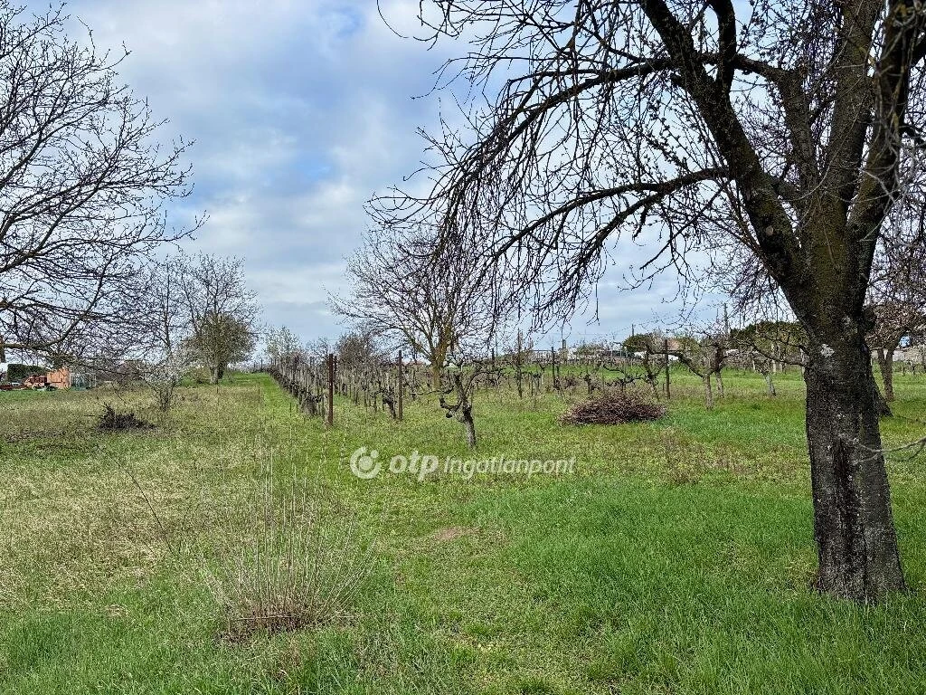 Eladó Telek, Etyek