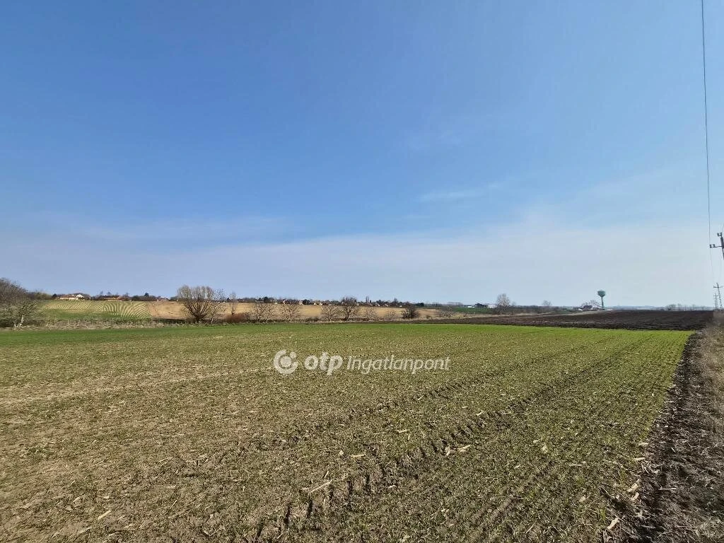 Eladó Telek, Iváncsa