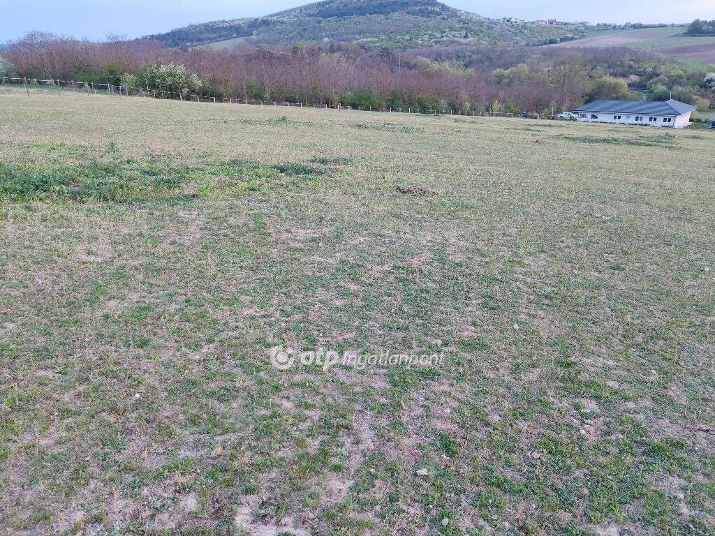 Eladó Telek, Szomor