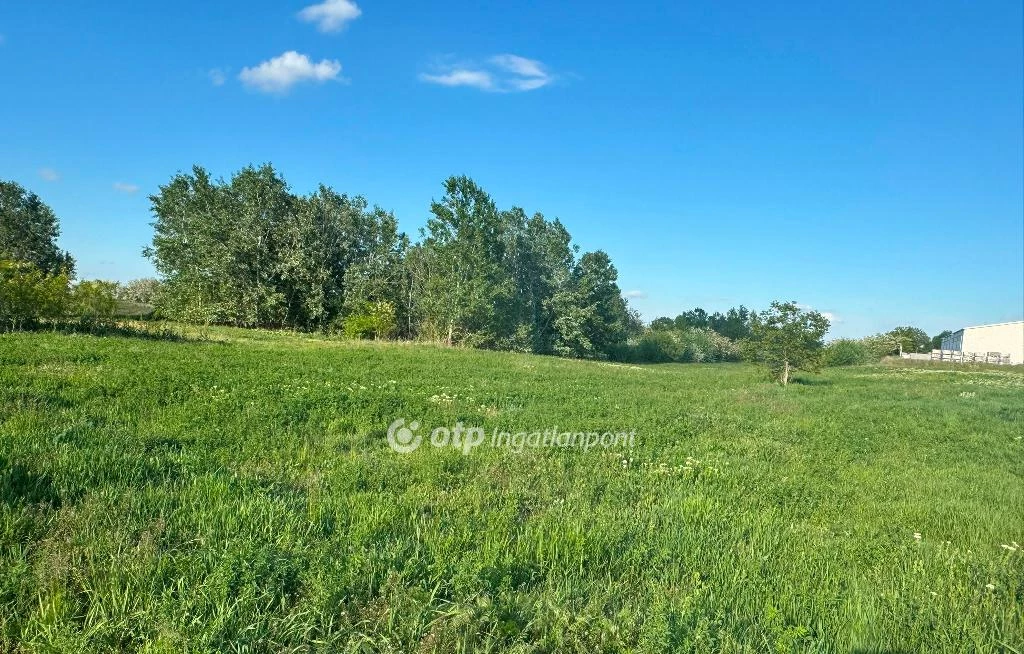 For sale building plot, Tiszafüred, Debreceni út környéke