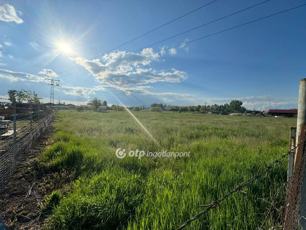 For sale building plot, Tiszafüred, Külterület