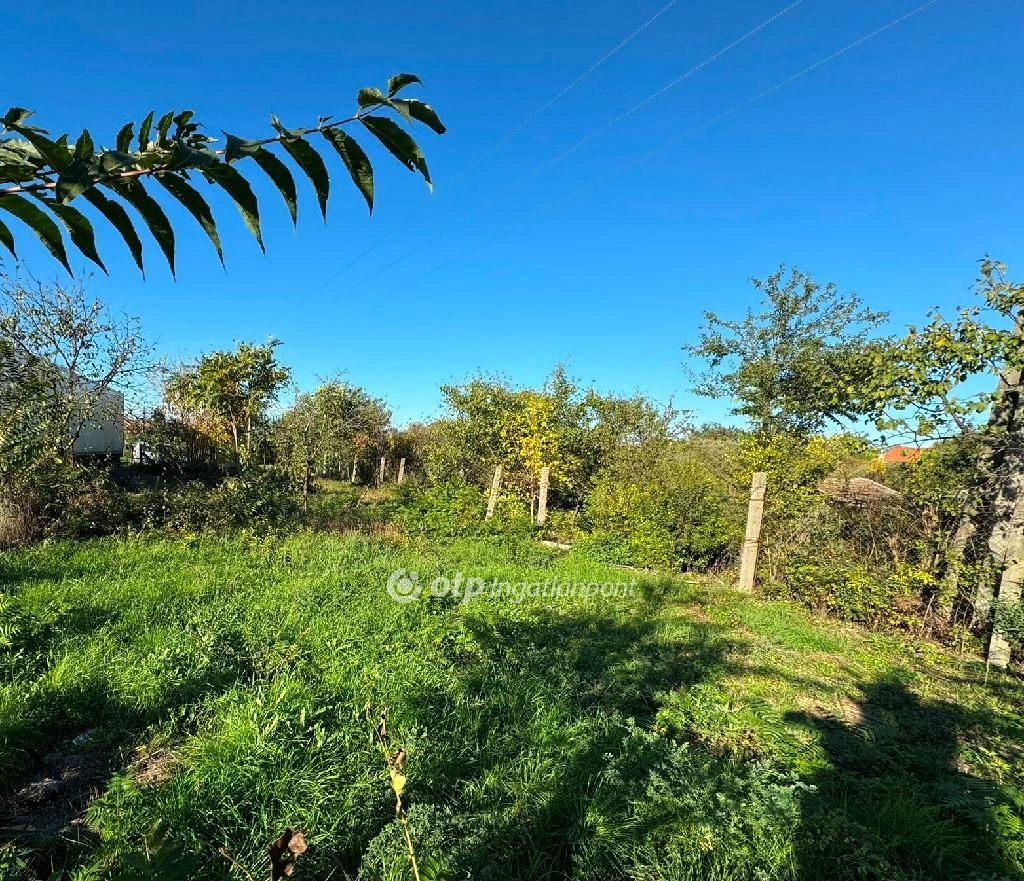 For sale building plot, Tiszacsege, Benzinkút környéke