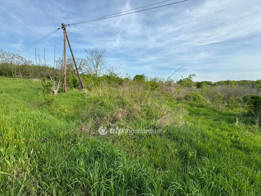 Eladó építési telek, Újlőrincfalva, Fő út környéke