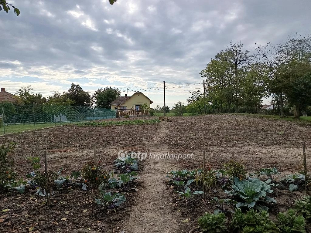 Eladó építési telek, Tiszaigar, Tiszaigar