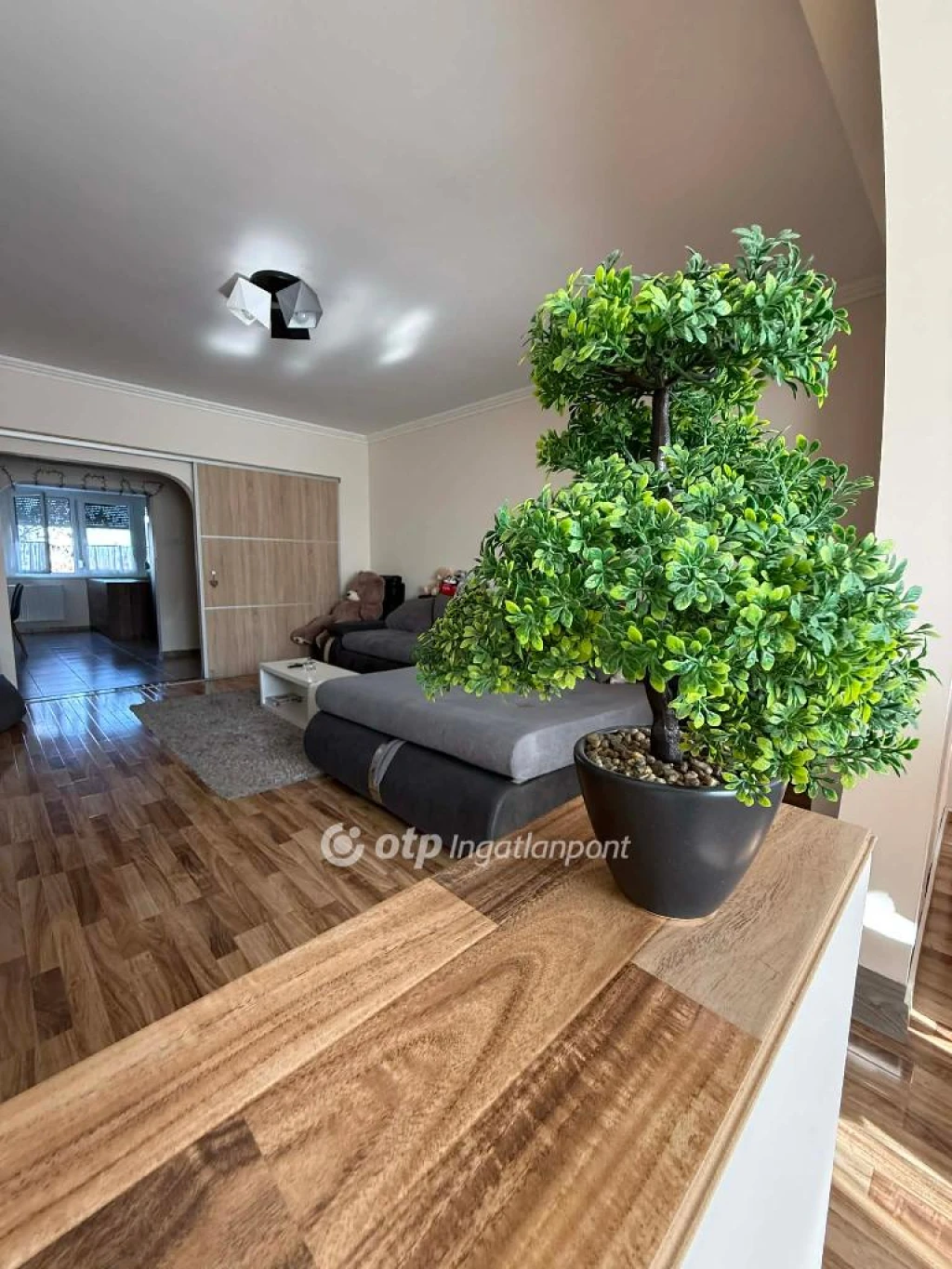 c3-1-name c2-20-name, Hajdúszoboszló, Központ