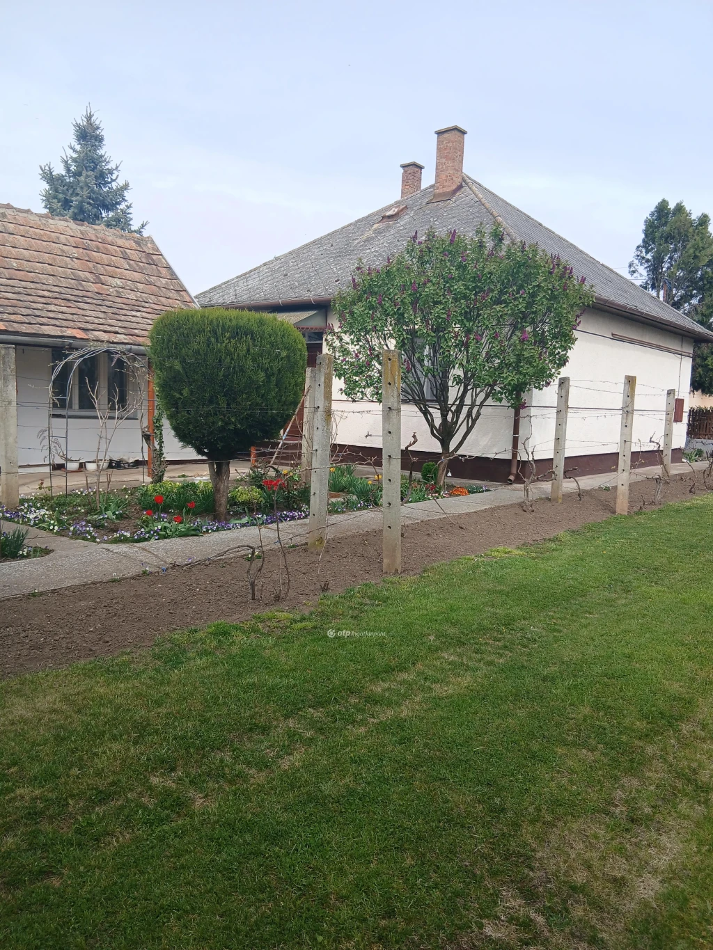 Eladó családi ház, Nagyhegyes, Központ környéke