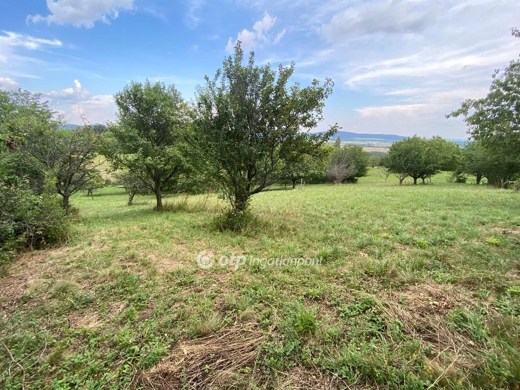 For sale building plot, Köveskál, külterület