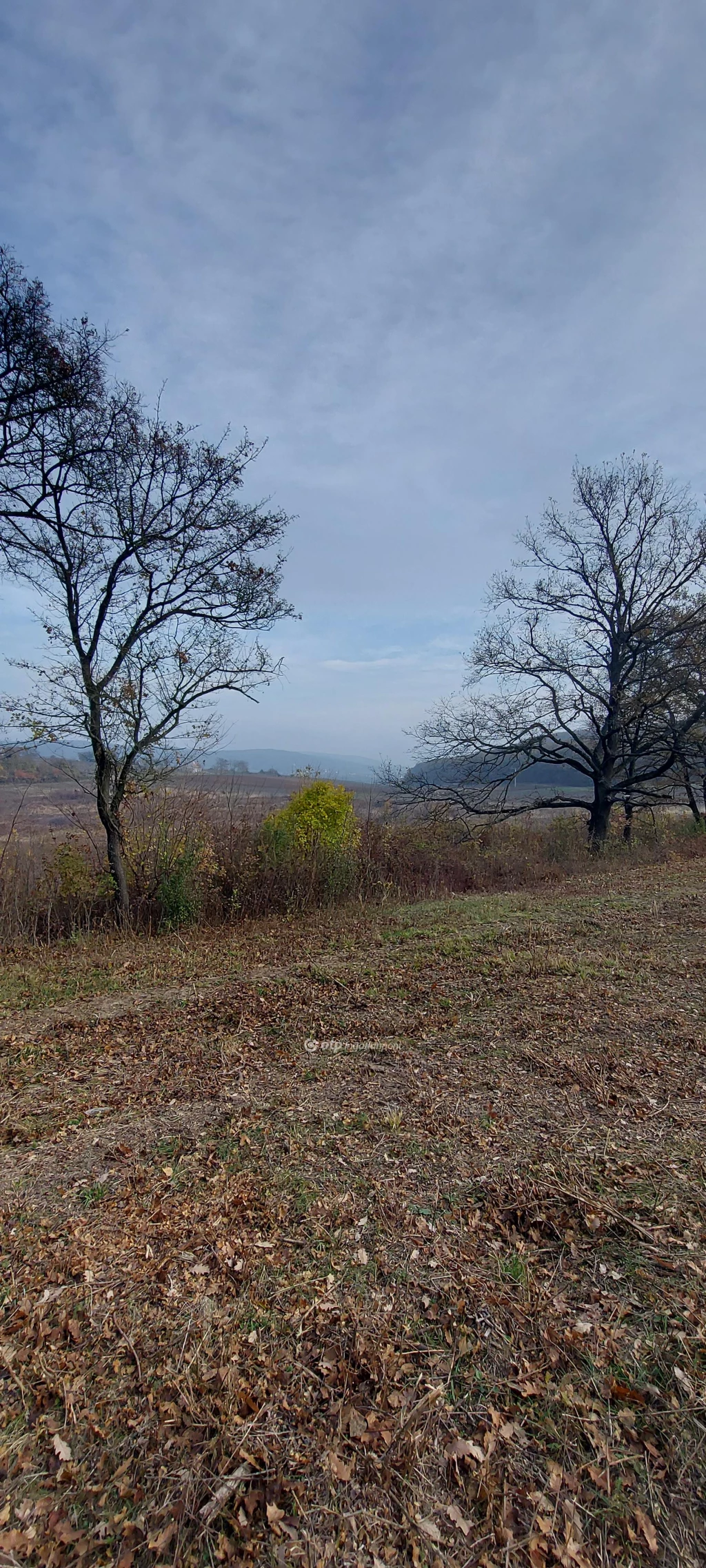 For sale plough-land, pasture, Balatoncsicsó, Csendes