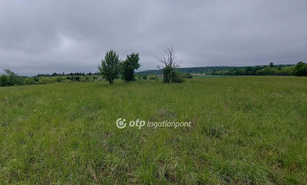 Eladó szántóföld, legelő, Tapolca, Külterület