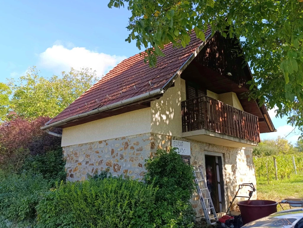 Eladó zártkerti ingatlan – lakható házzal, termő szőlővel és gyümölcsös kerttel!