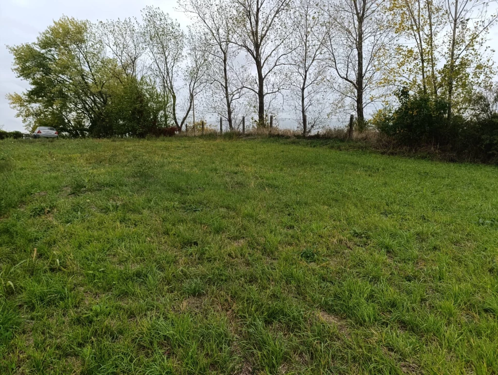 Székesfehérváron, Őrhalmiszőlőkön eladó különlegesen nagyméretű építési telek!