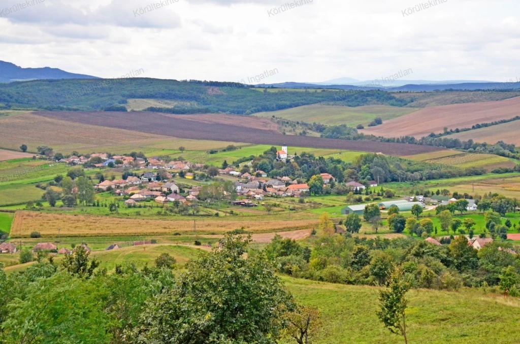 For sale house, Herencsény