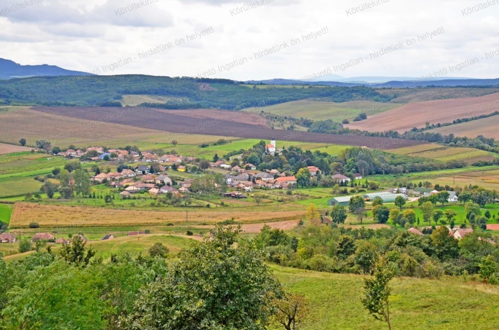 For sale house, Herencsény