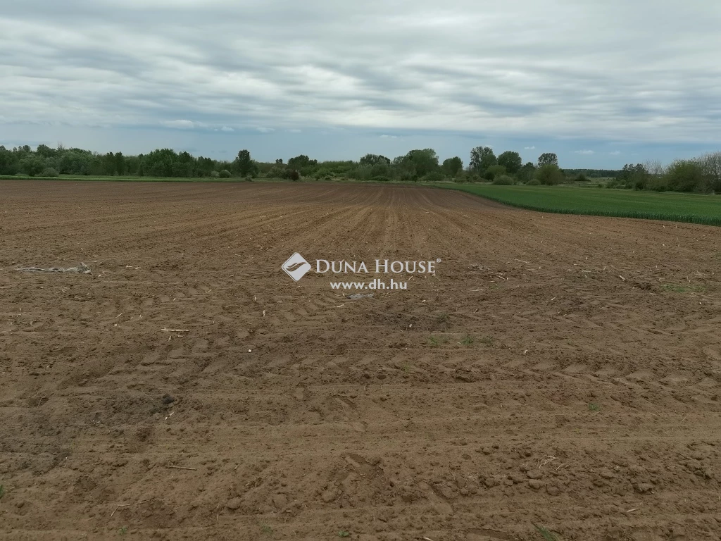 For sale periphery plot, Alap