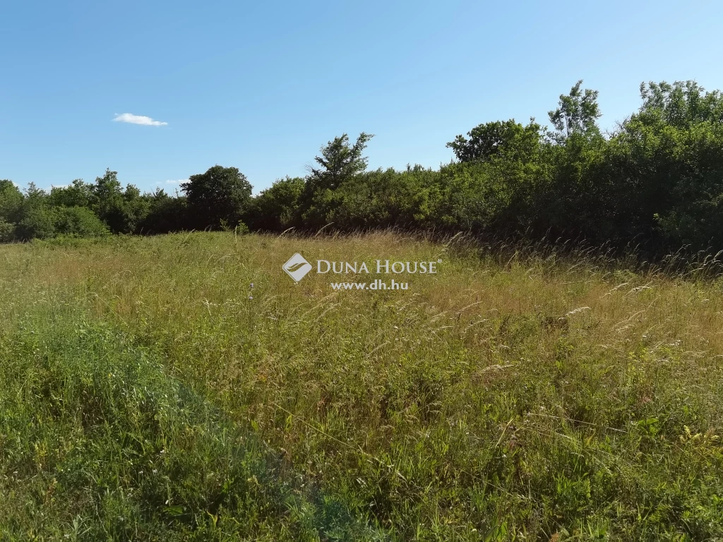 Eladó Telek, Kincsesbánya