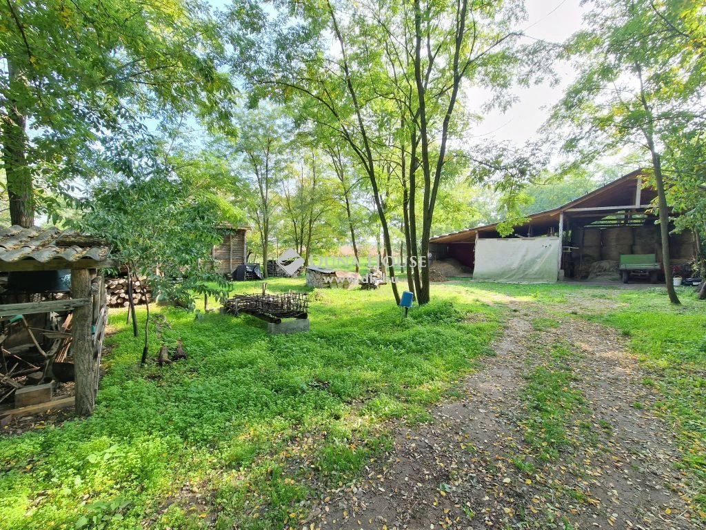 Eladó Ház, Alsószentiván