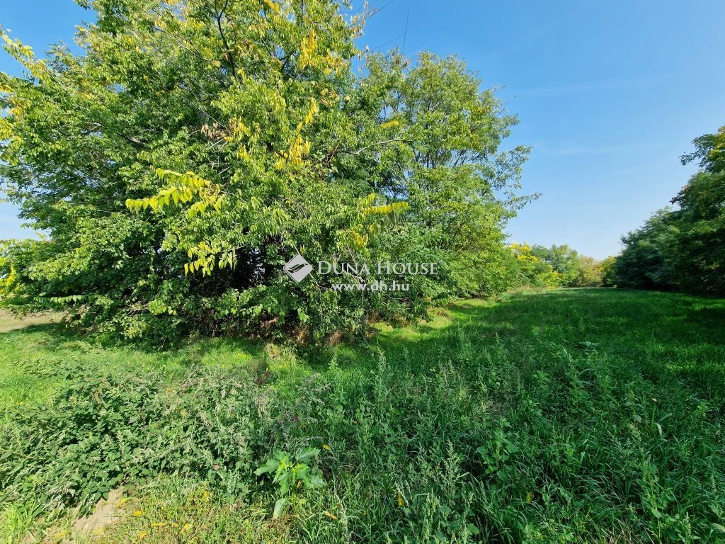 For sale building plot, Alap