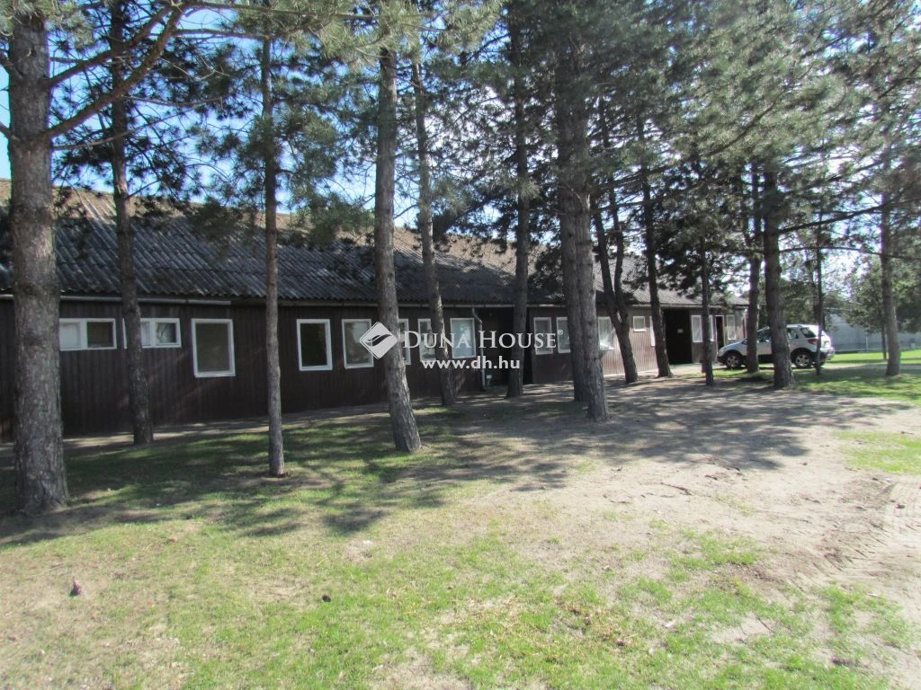 Eladó Mezőgazdasági, Ráckeve