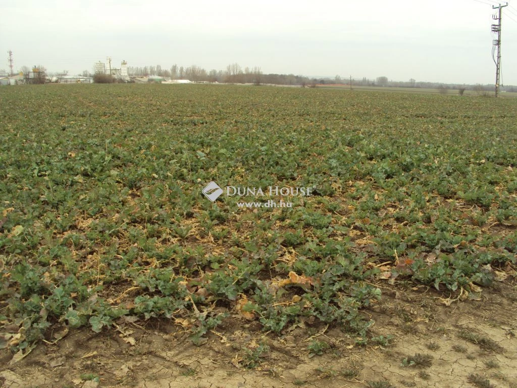 For sale plough-land, pasture, Székesfehérvár, Felsőváros-Királykút