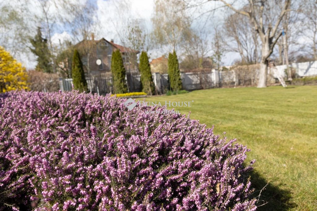 c3-1-name c2-1-name, Siófok