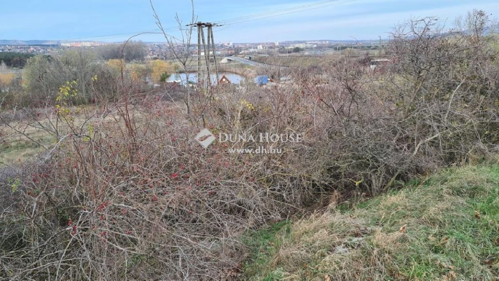 For sale periphery plot, Várpalota