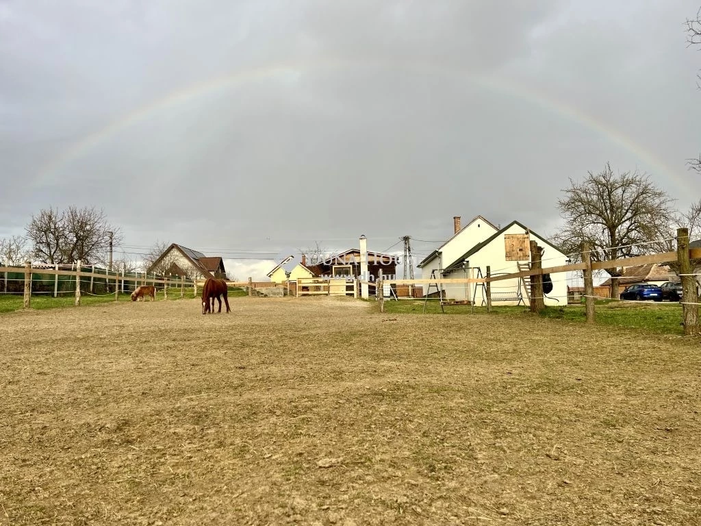 Eladó ház, Pusztaszemes