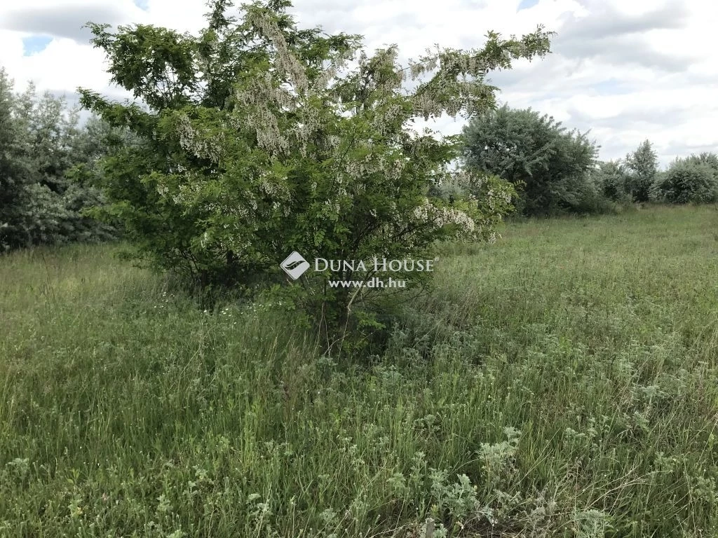 For sale periphery plot, Székesfehérvár