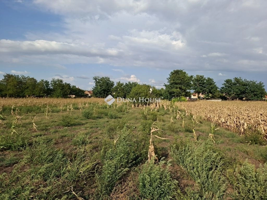 Eladó telek, Seregélyes