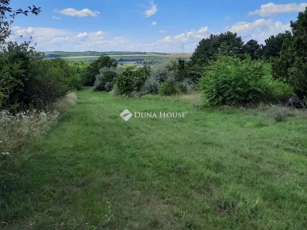 c3-1-name c2-53-name, Pátka, Lesvölgyi park