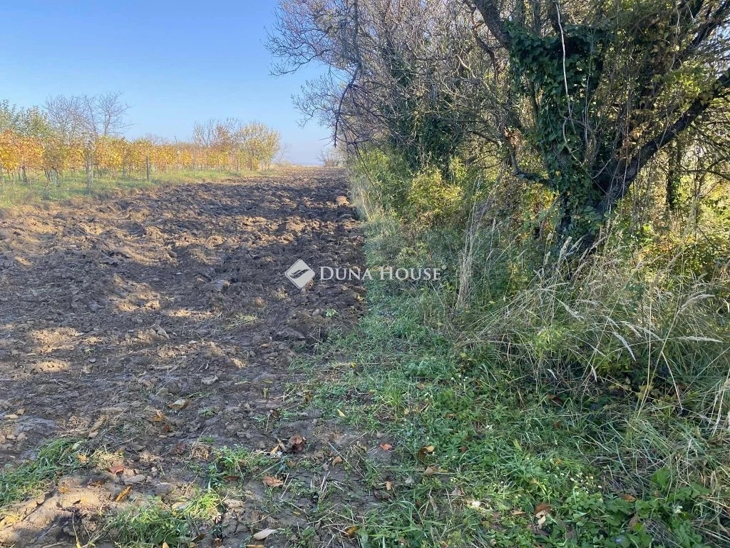 For sale other plot, Isztimér, Köztársaság út