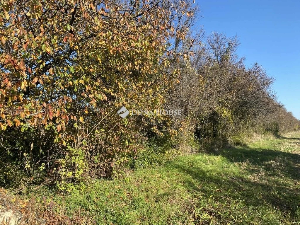 For sale periphery plot, Isztimér