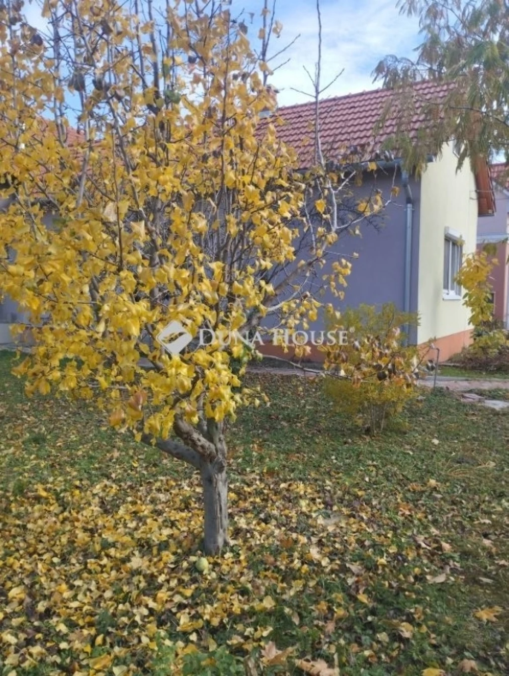 For sale house, Székesfehérvár, Ráchegy-Köfém környéke