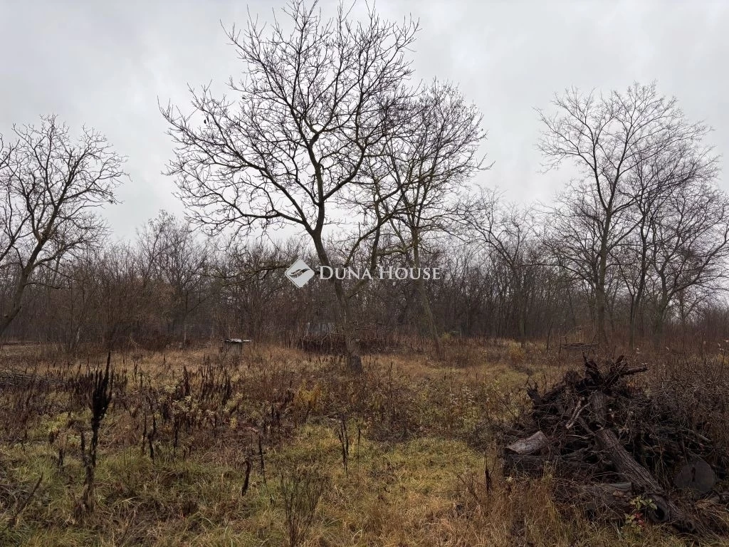 c3-1-name c2-50-name, Őrbottyán, Rákóczi Ferenc utca