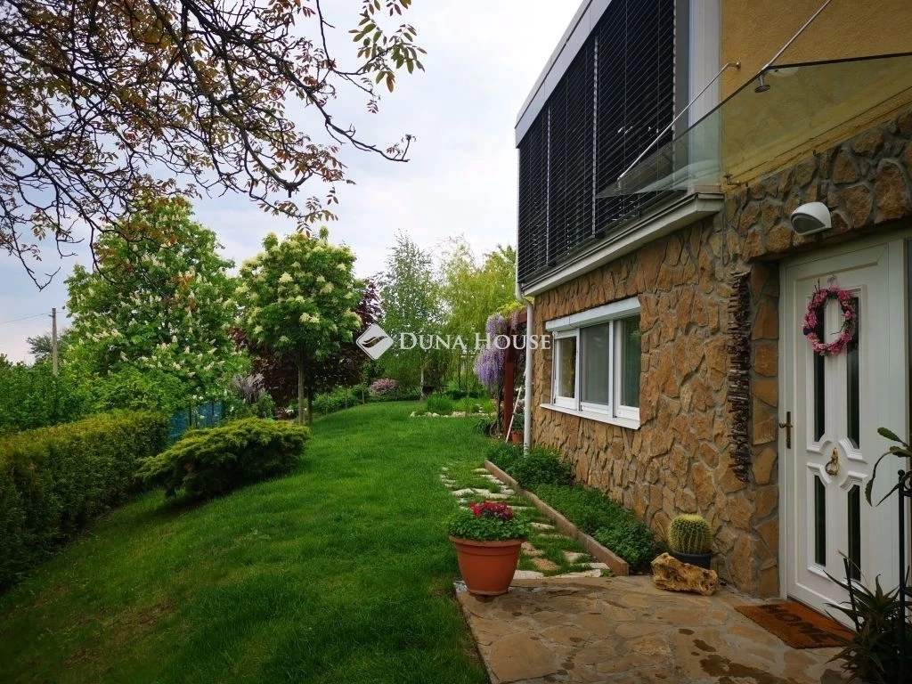 c3-1-name c2-2-name, Velence