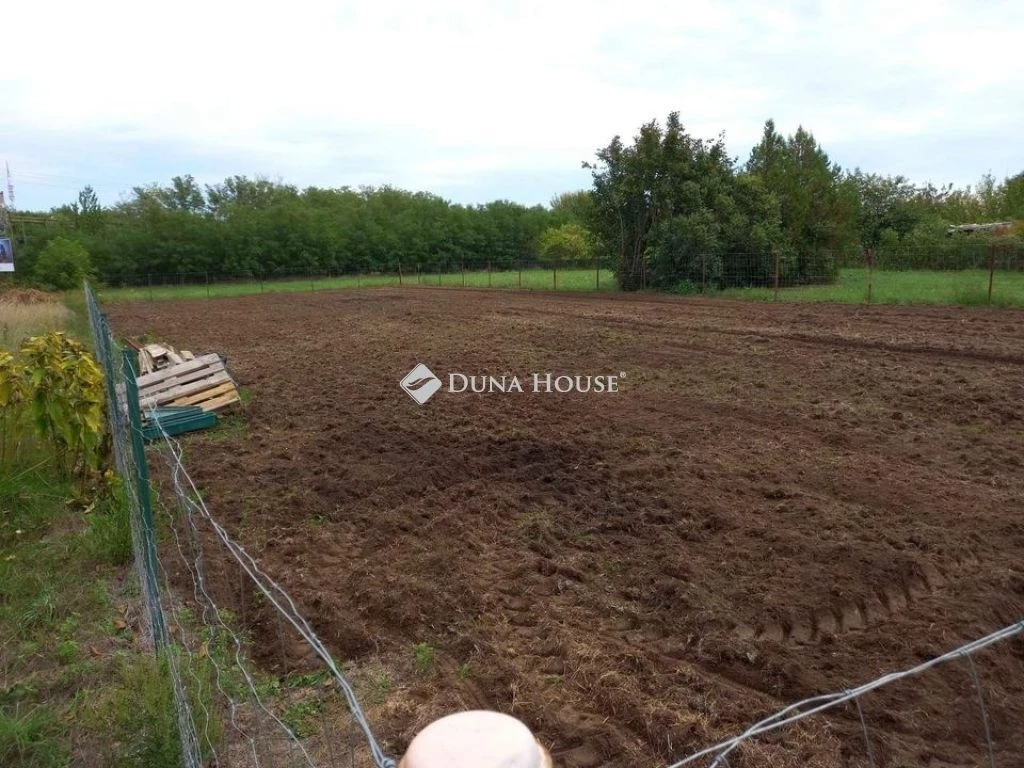 c3-1-name c2-53-name, Székesfehérvár, Maroshegy