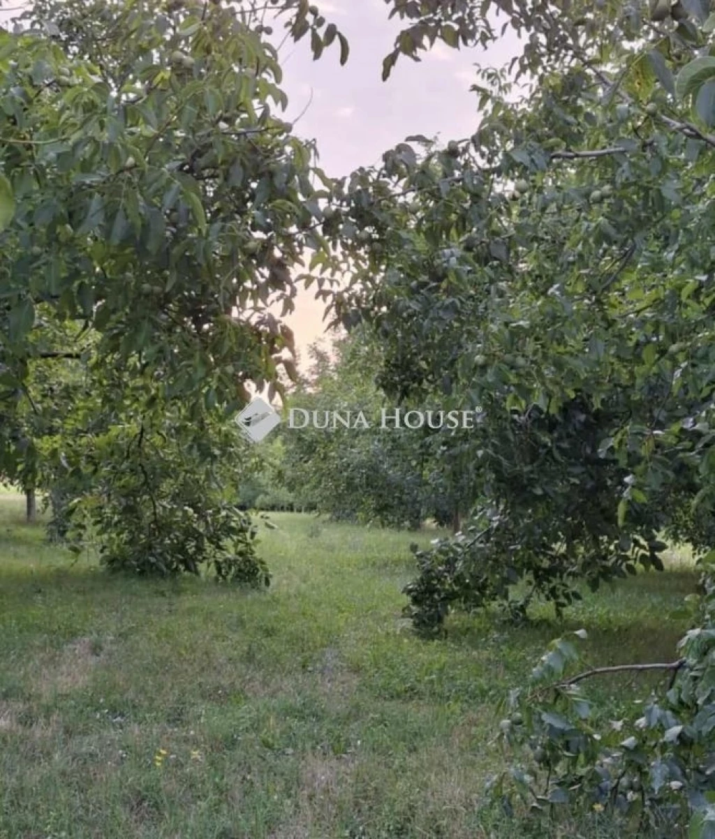 Eladó telek, Ádánd