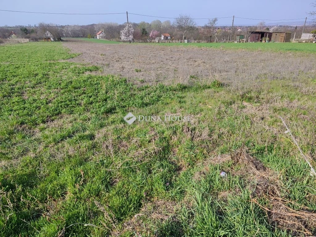 c3-1-name c2-53-name, Gárdony