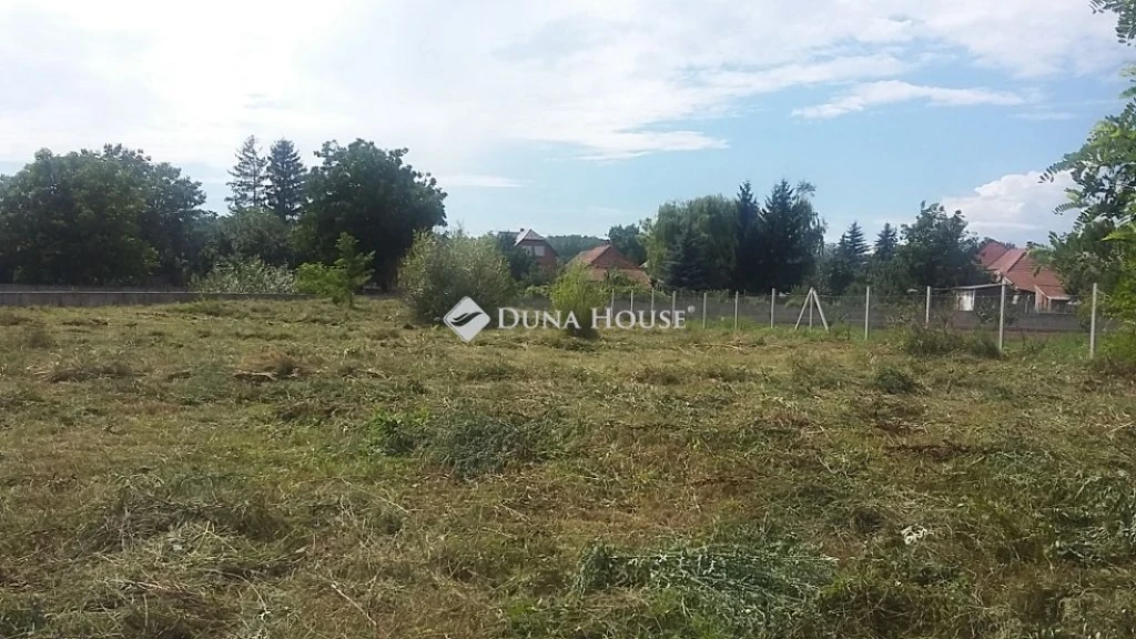 c3-1-name c2-50-name, Szikszó