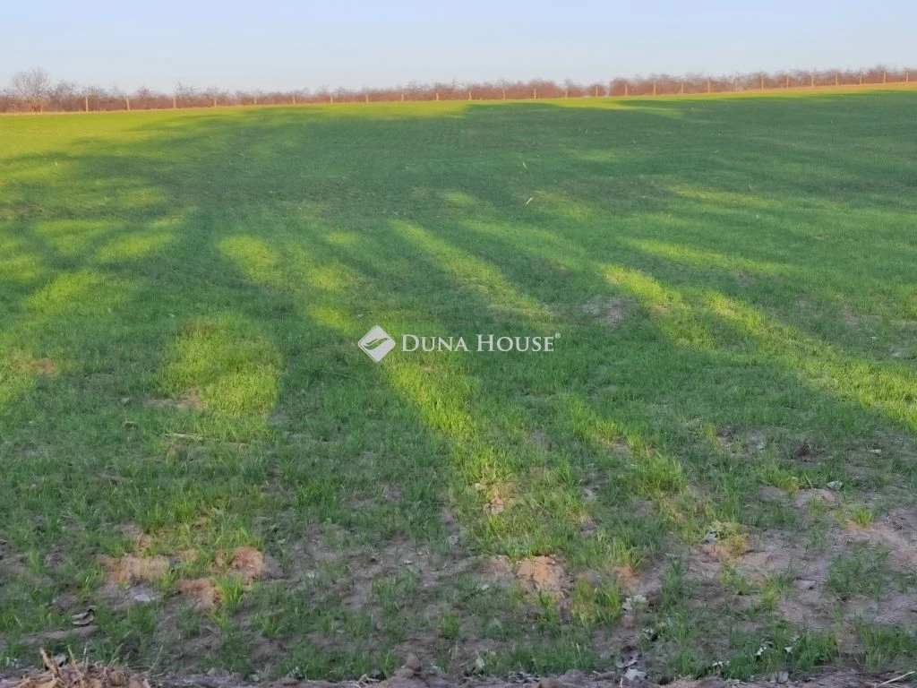 c3-1-name c2-84-name, Gárdony