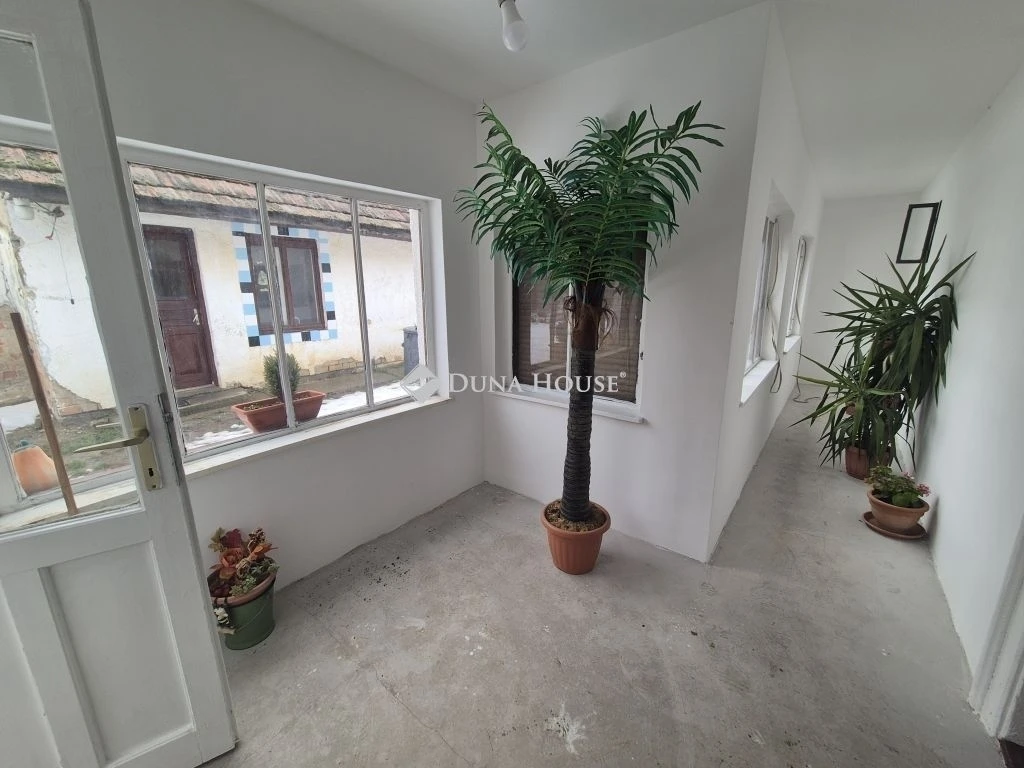 c3-1-name c2-1-name, Iregszemcse