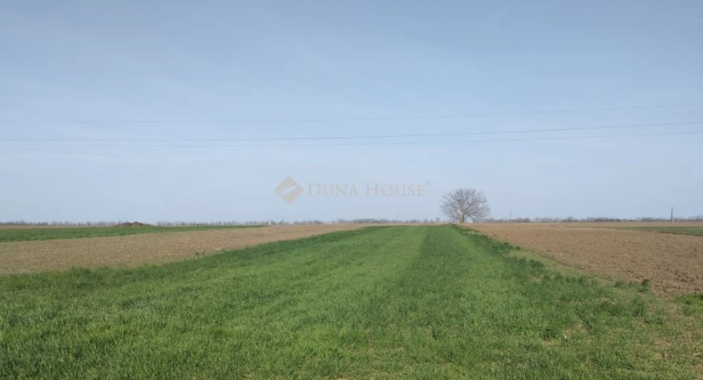 Eladó telek, Polgárdi