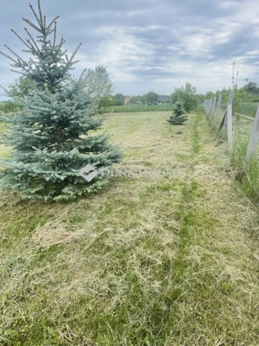 c3-1-name c2-50-name, Kőszárhegy