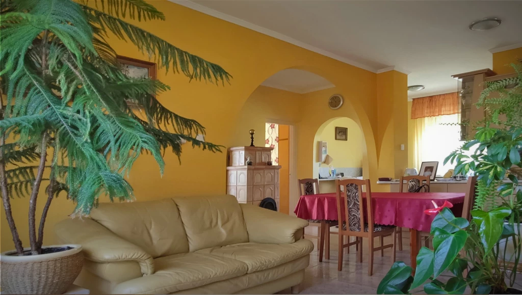 ELADÓ FIATAL ÉPÍTÉSŰ IKERHÁZ-NYÍREGYHÁZA-ÚJKISTELEKISZŐLŐ