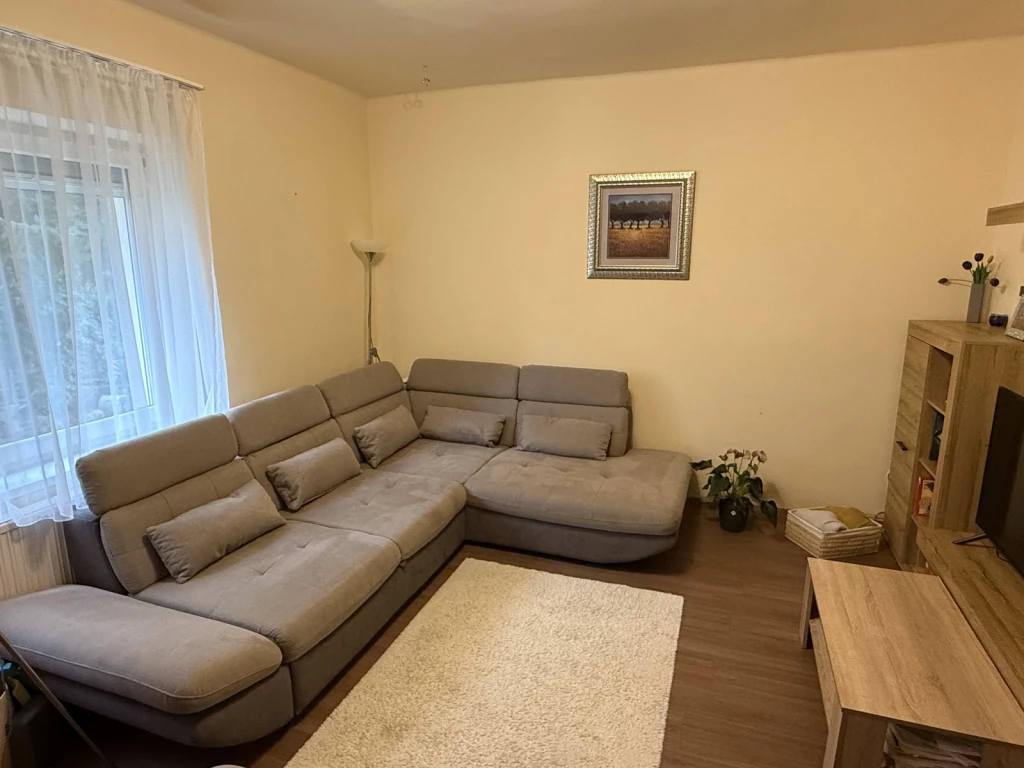 SZÉP TÁGAS MAGASFÖLDSZINTI LAKÁS ELADÓ A PLÁZA SZOMSZÉDSÁGÁBAN.